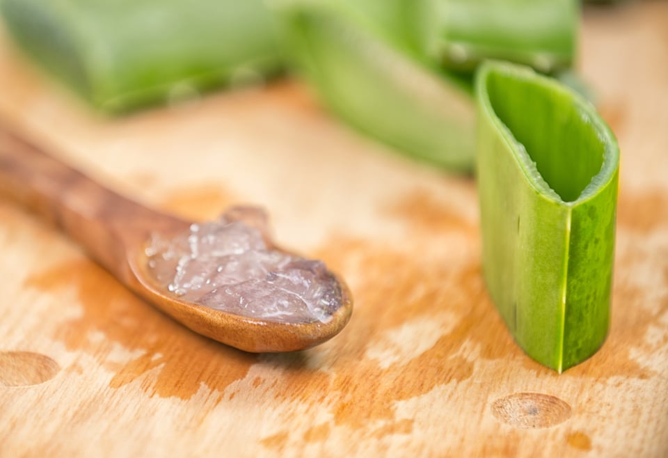 Cómo usar la planta de aloe vera para tus trucos de belleza (VIDEO)