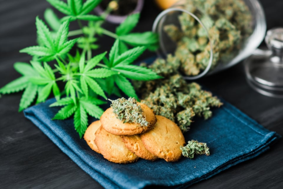 Florida da ‘luz verde’ a venta de marihuana comestible