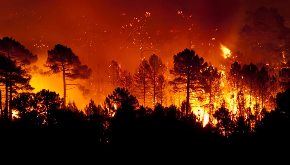 California: Gobernador declara estado de emergencia por los incendios