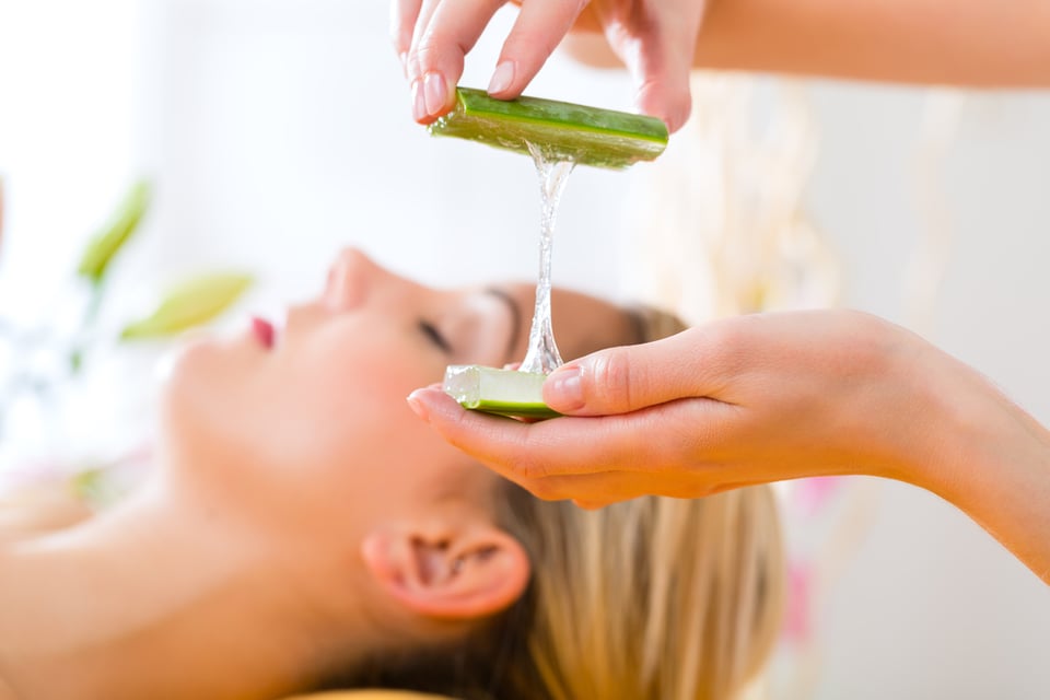 aloe vera, sávila, tratamiento, belleza, MundoNOW