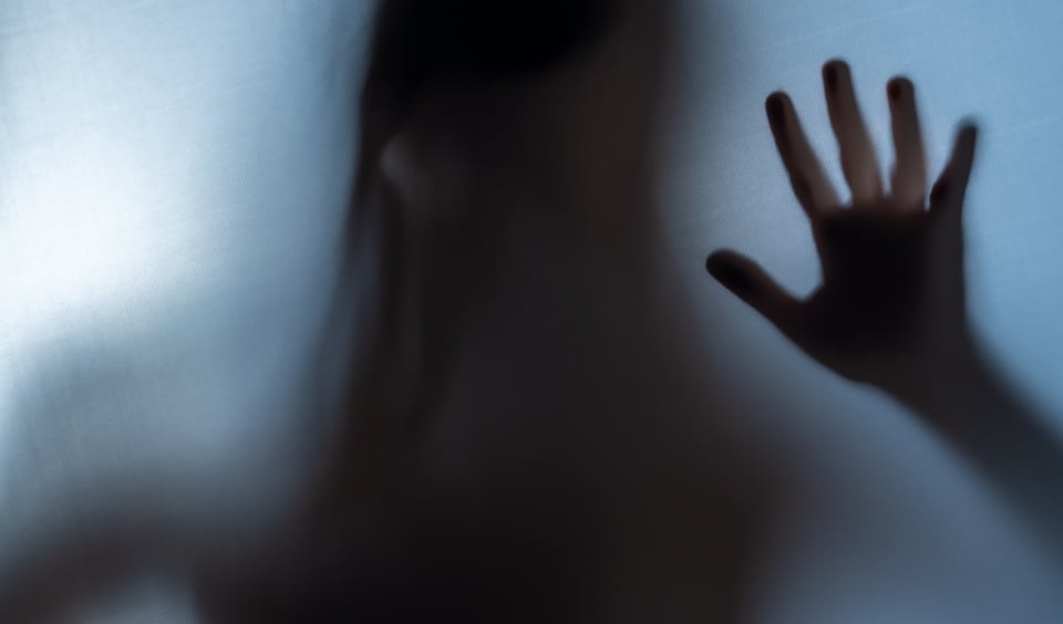 ¡Paranormal! Detectan extraña actividad en medio de una clase virtual (VIDEO)