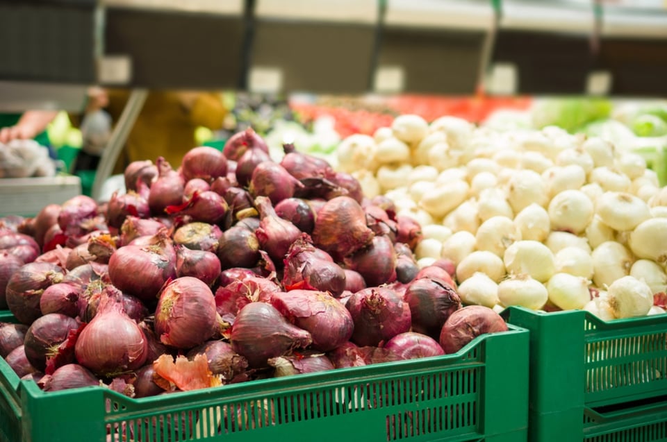 Confirman cientos de enfermos por consumo de cebollas con salmonella