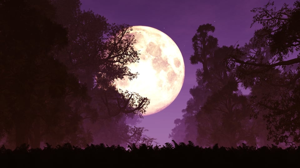 Superluna Rosa esta noche ¡el espectáculo que nos regala el cielo!