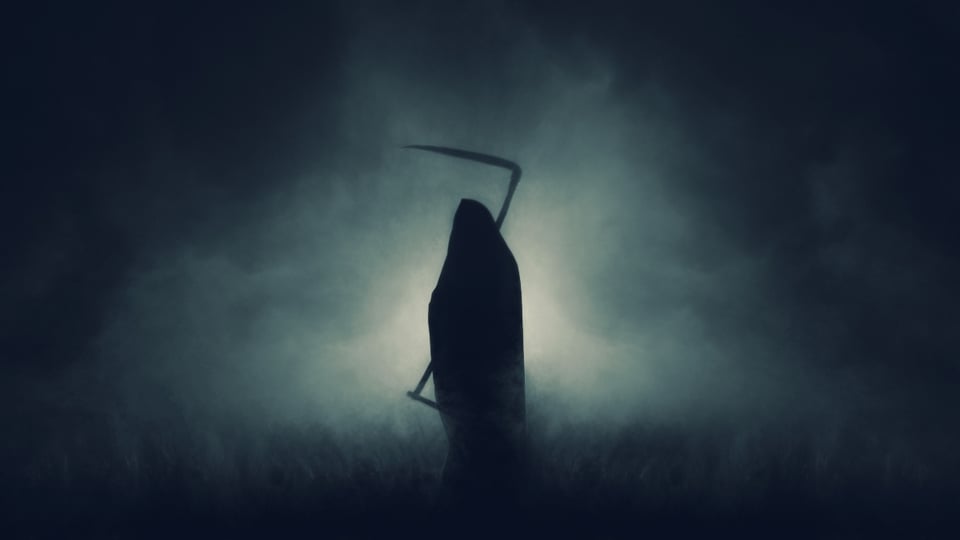 La muerte se adueña de las playas en Florida featured image