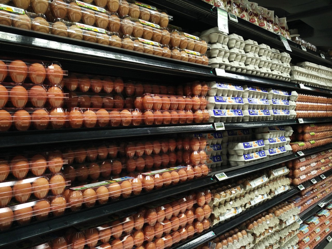 Retiran huevos de los mercados por posible contaminación por listeria