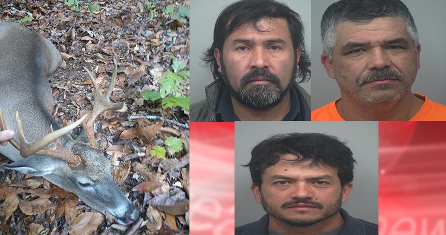 Crónica: Latinos salieron a cazar, pero terminaron cazados featured image