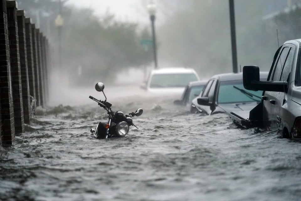 Después de Sally: Inundaciones, muerte y caimanes (VIDEO y FOTOS) featured image
