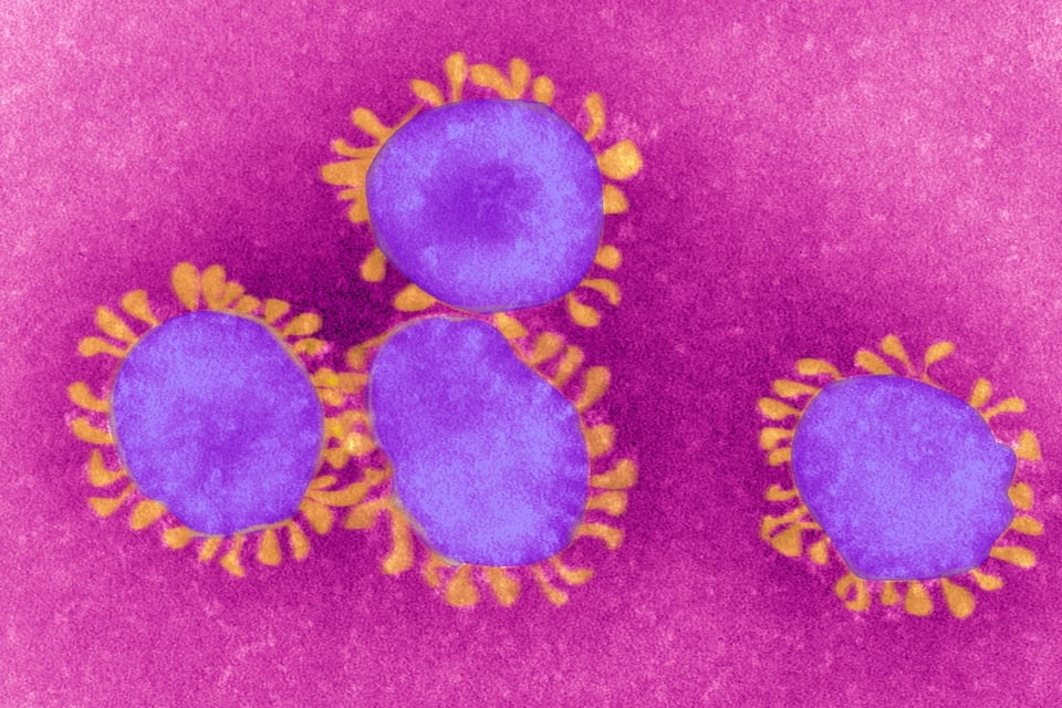 China: Brote bacteriano infecta a miles tras fuga de fábrica biofarmacéutica