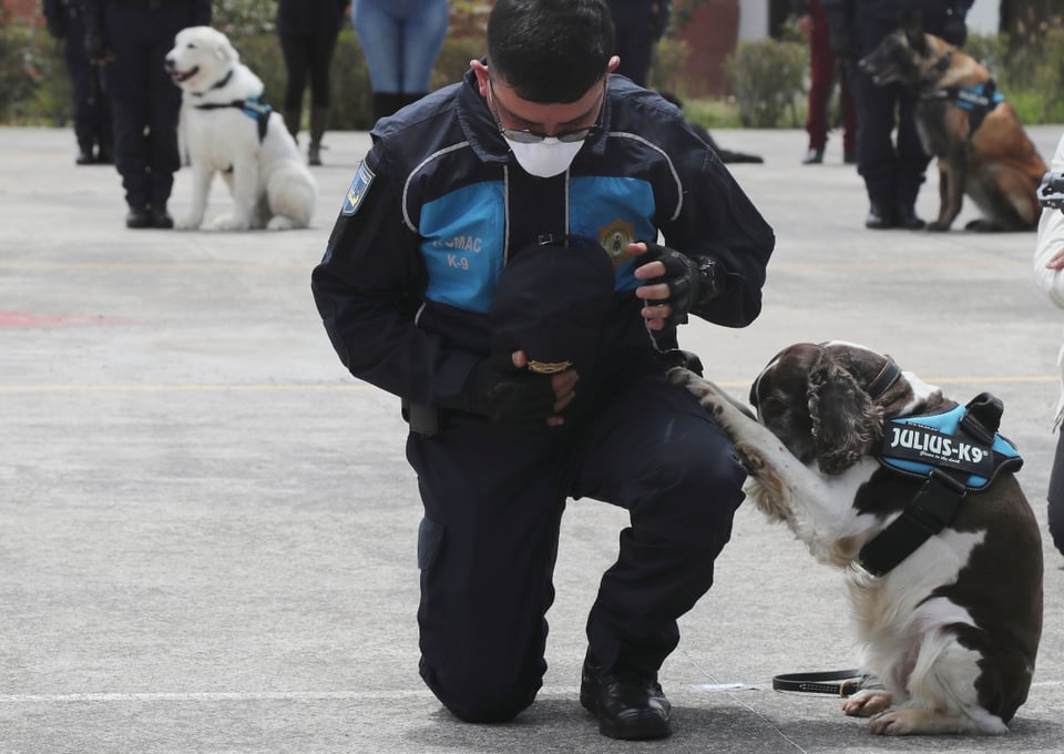 TEXAS: Mujer de Dallas enfrenta deportación por maltrato animal contra perrito Muffy (FOTO) featured image