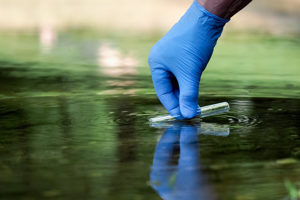 Texas: Lanzan alerta por ameba come cerebros en agua