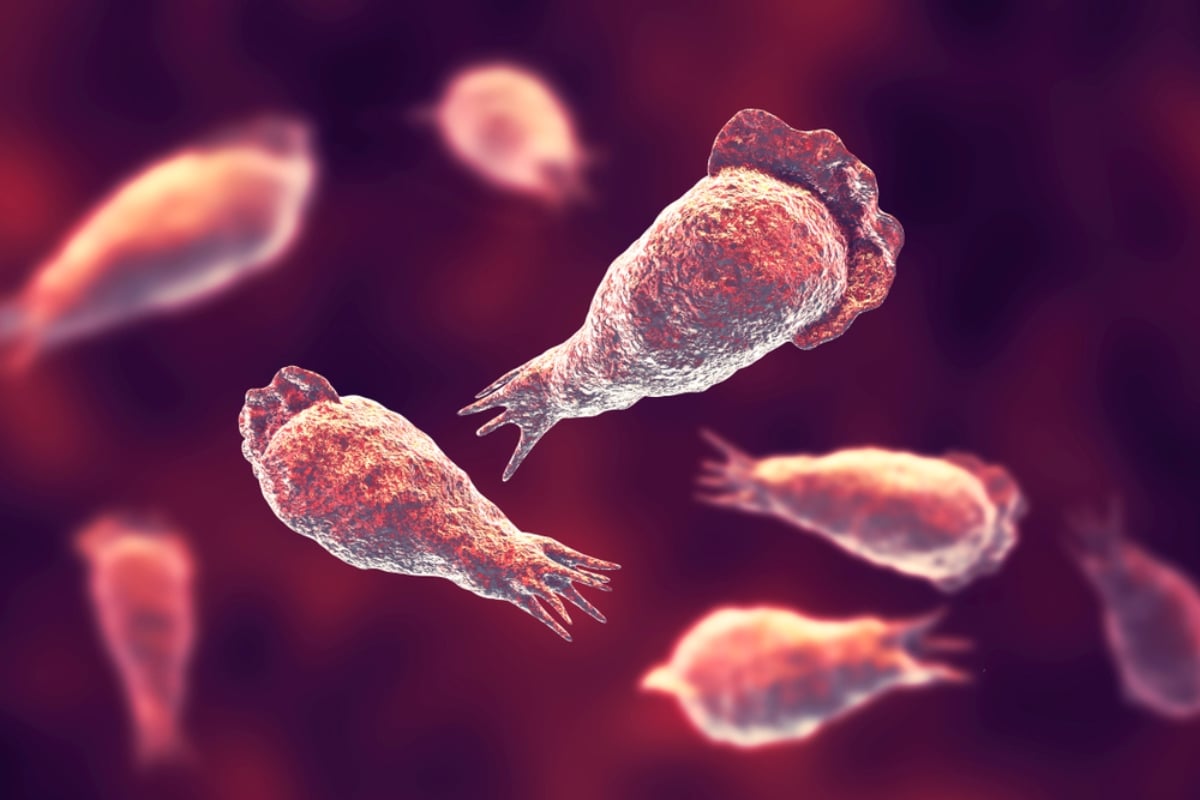 Texas: Confirman muerte de niño de 6 años por ameba ‘comecerebros’