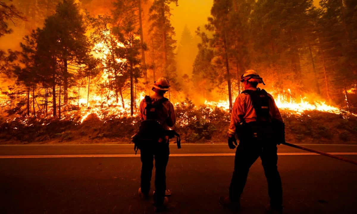 Los Ángeles: Incendio avanza rápido y obliga a evacuar 60,000 personas