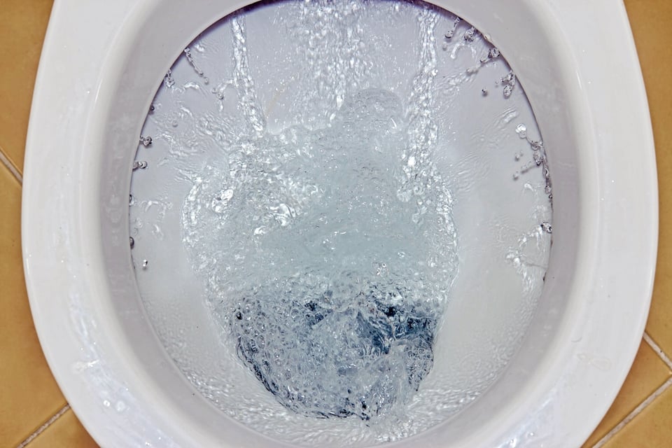 ¡ASQUEROSO!: Bebe agua del inodoro para demostrar que está limpio (VIDEO)
