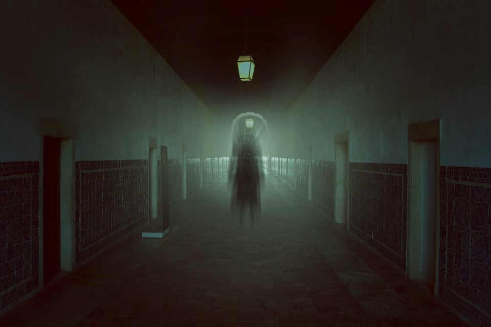Curioso: A los golpes con un fantasma (VIDEO)