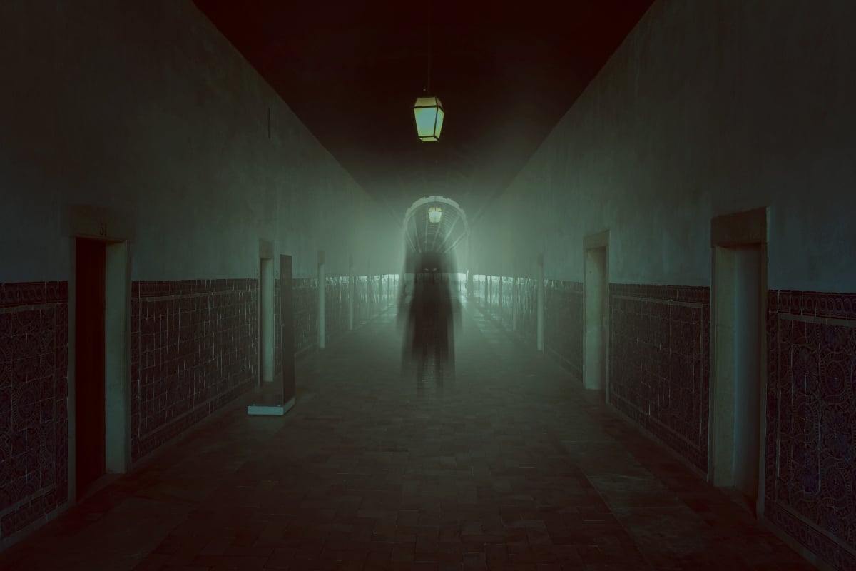 Curioso: A los golpes con un fantasma (VIDEO)