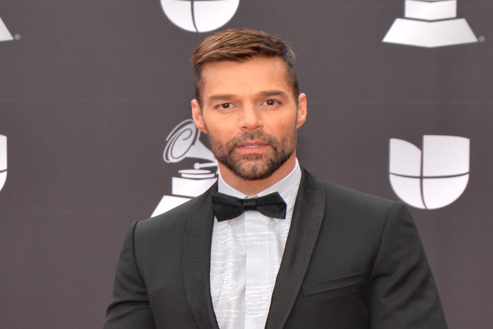 Ricky Martin, Raúl de Molina, María Celeste y más famosos reaccionan al triunfo de Joe Biden (FOTOS)