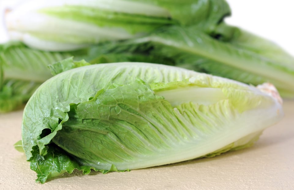 Ordenan recall de lechuga romana por riesgos de E. coli en 19 estados de EE.UU.
