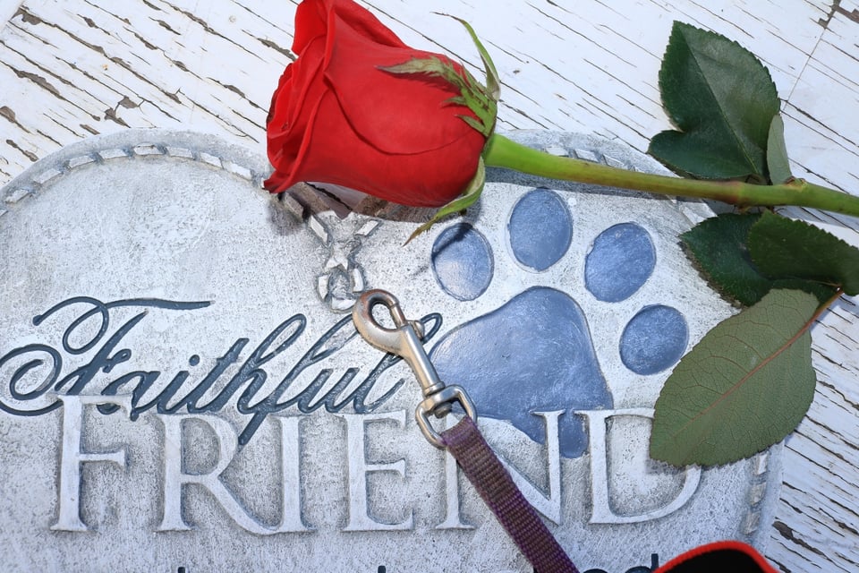 El príncipe William y su esposa anunciaron la muerte de su perro