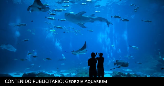 ¡Asiste a la primera Noche Anual de Herencia Hispana, en el Georgia Aquarium en conjunto con la Asociación Latinoamericana!