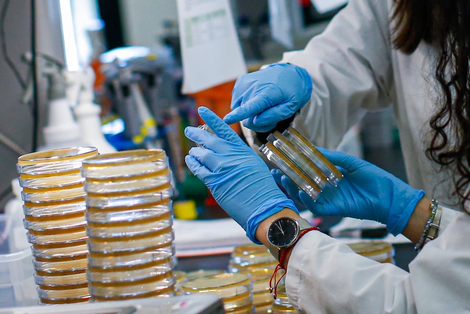 Autoridades anuncian tercer caso de coronavirus en Florida aún por confirmar