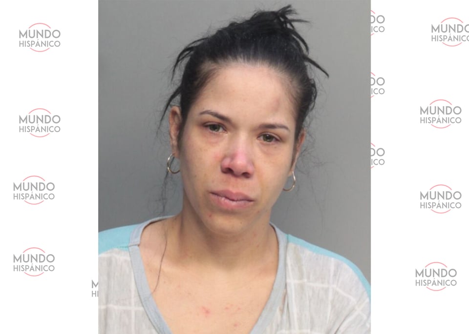 Hispana en Florida que trató de matar a su bebé tenía depresión postparto, según pareja