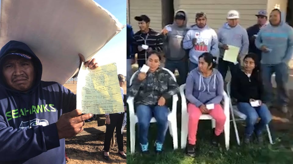 Jornaleros hispanos paralizan fábrica en protesta por malos tratos y explotación (VIDEO) featured image
