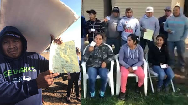 Jornaleros hispanos paralizan fábrica en protesta por malos tratos y explotación (VIDEO)