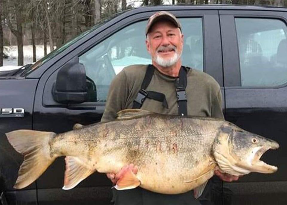 Pescador rompe record estatal en New Hampshire con monstruosa trucha de 37 libras