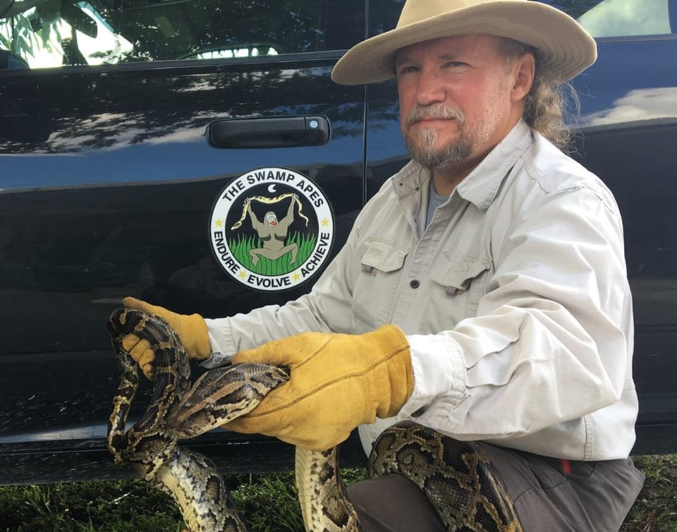 Florida le declara la «guerra» a una «especie» extranjera