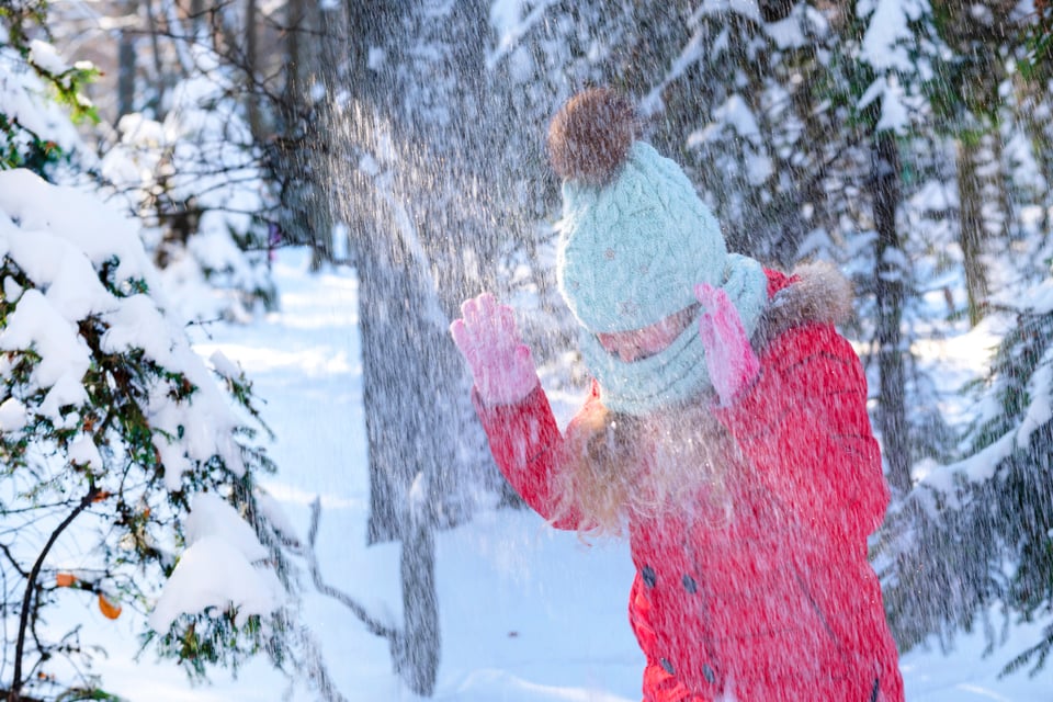 School closings: Cierres y retrasos en escuelas de Ohio por mal clima featured image