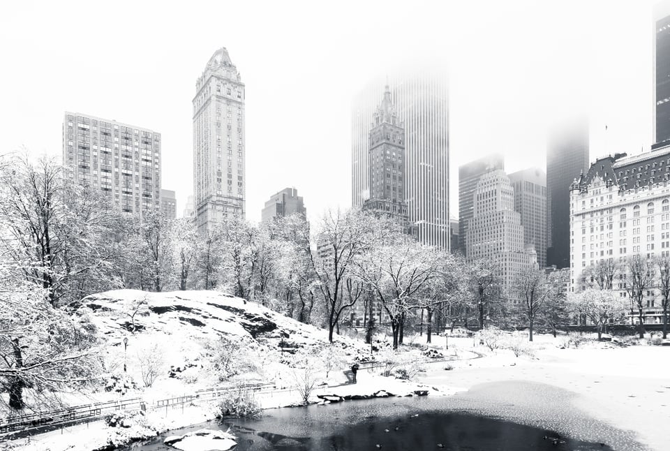 Pronostican una blanca Navidad desde Virginia hasta Nueva York por intensa tormenta invernal featured image