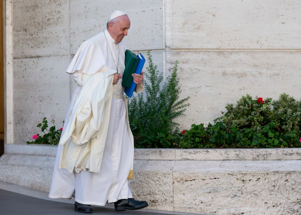 Papa Francisco: "No es un delito. Sí, pero es pecado"