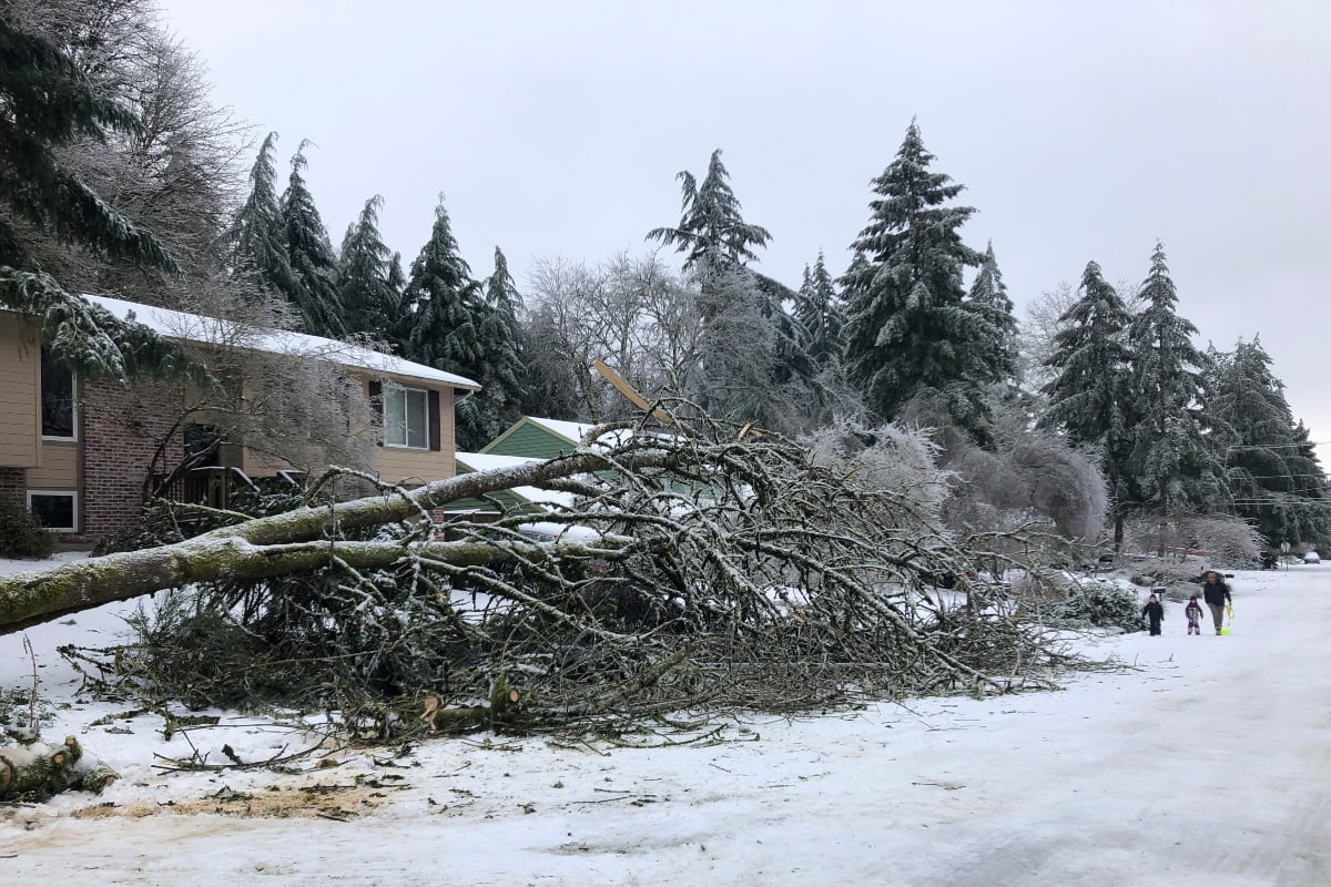 Fuerte tormenta invernal deja a miles de personas sin electricidad en EE.UU.