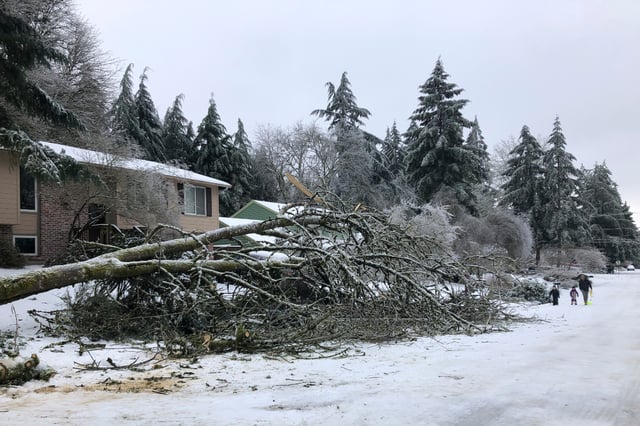 Fuerte tormenta invernal deja a miles de personas sin electricidad en EE.UU. 