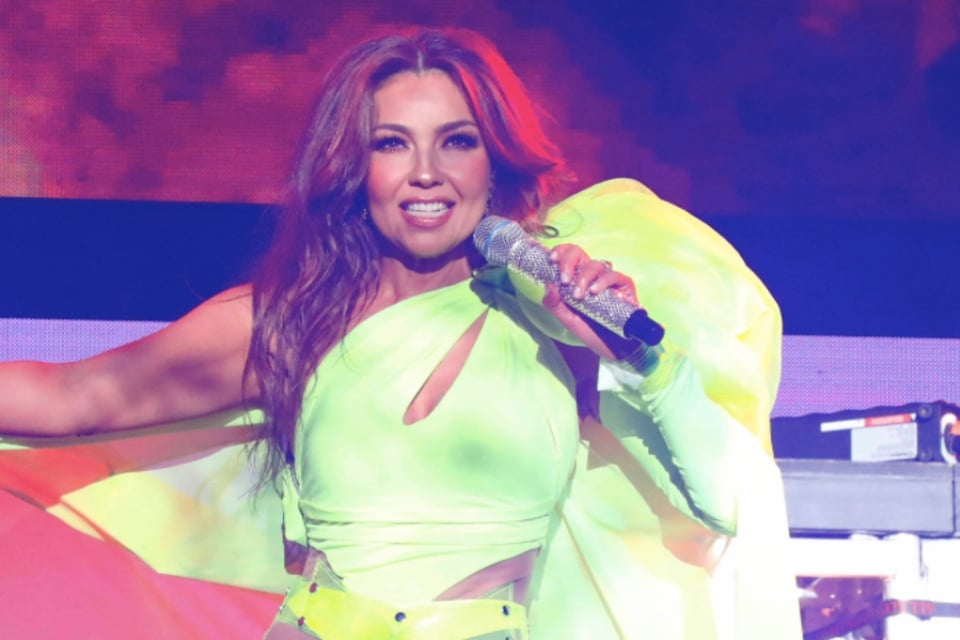 ¡Nueva ‘bebé’! Thalía se decide y presenta a la nueva integrante de su familia con Tommy Mottola (VIDEO) featured image