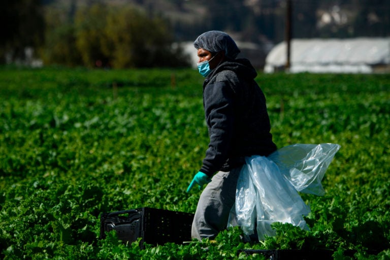 Tras aprobar ley para ciudadanía a dreamers, Cámara Baja abre la ruta también para trabajadores agrícolas