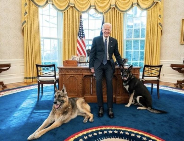 Perros de Biden vuelven a atacar a un empleado de la Casa Blanca
