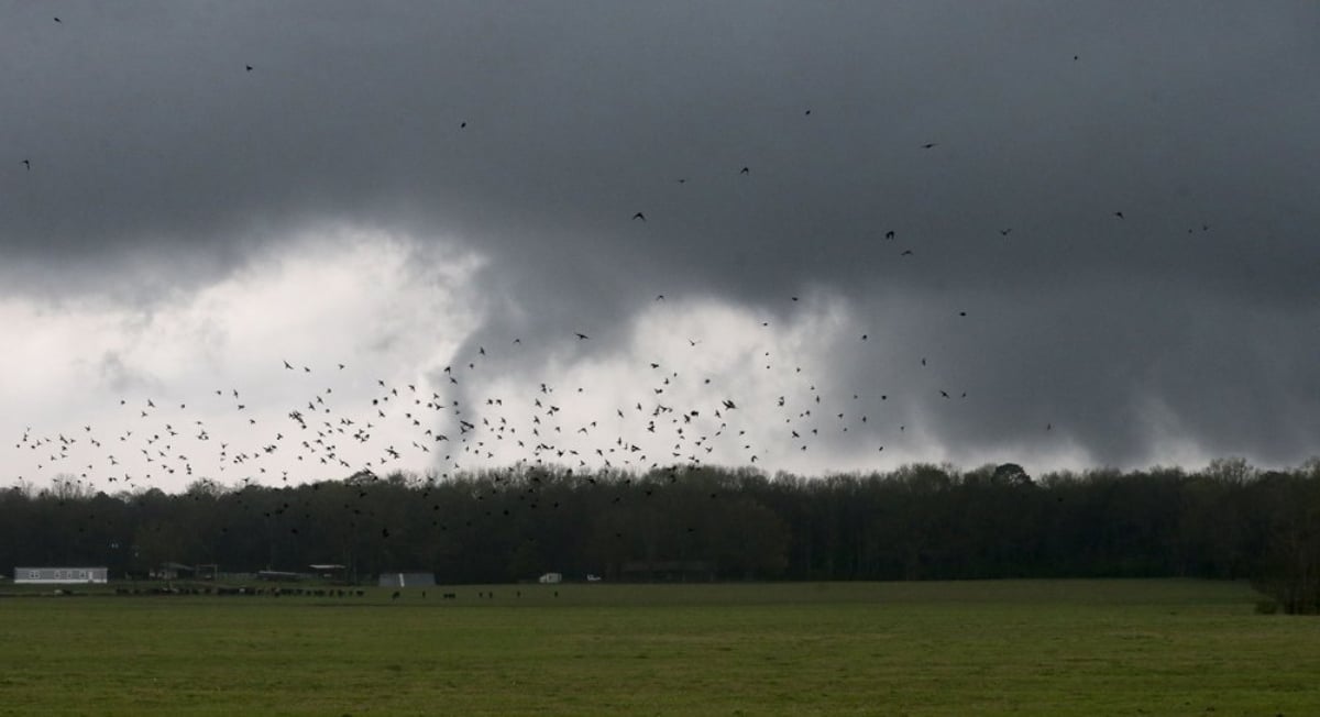 Tornados azotan cinco estados mientras continúan tormentas severas en el sureste