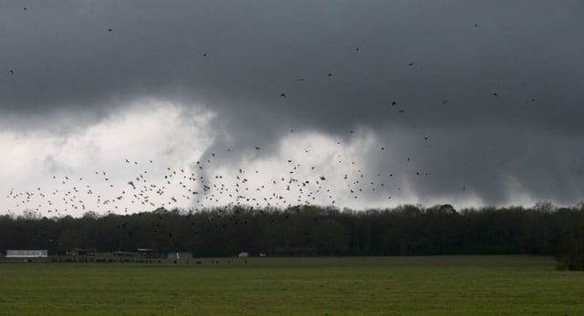 Tornados azotan cinco estados mientras continúan tormentas severas en el sureste