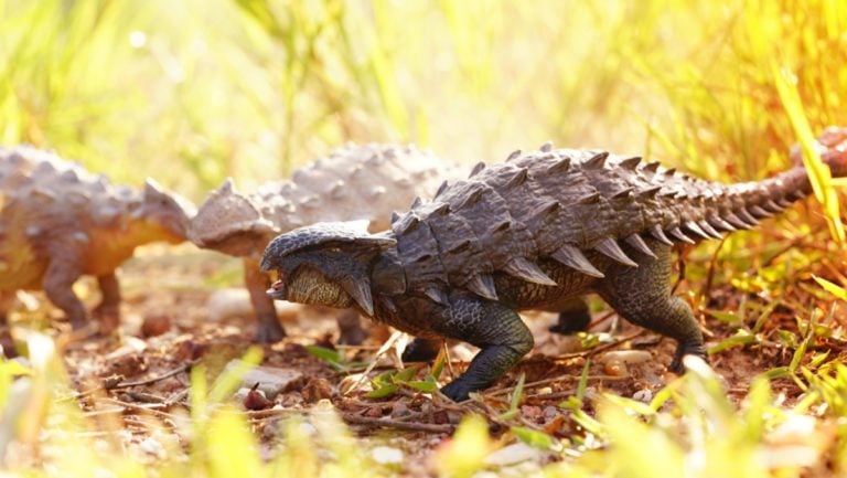 Mujer asegura que captó a un bebé dinosaurio en su patio trasero (VIDEO)