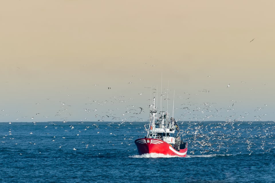 Reportan saldo mortal y 23 heridos tras voltearse un bote en San Diego featured image