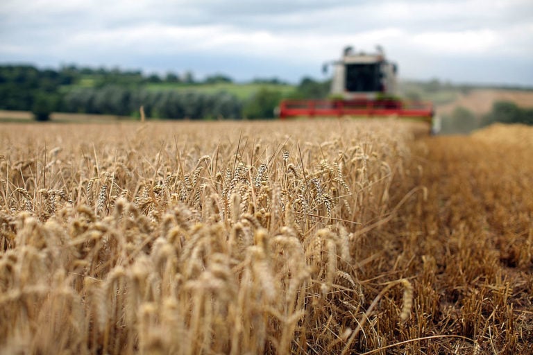 Gobernador firma ley sobre pago de horas extras a trabajadores agrícolas