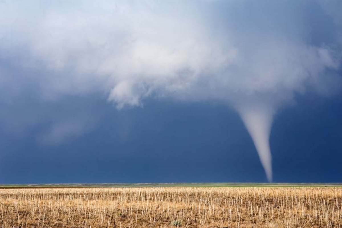 Tormenta en el condado de Rusk, Texas deja remolques volcados y árboles caídos