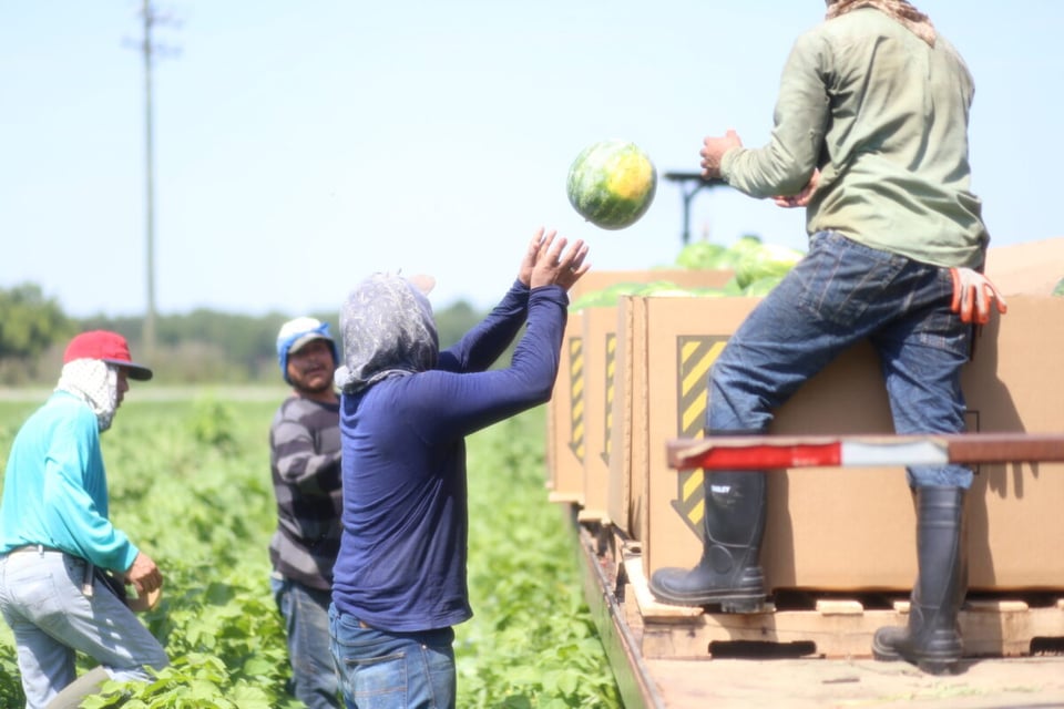 Política migratoria de Trump frena sectores clave de la economía estadounidense
