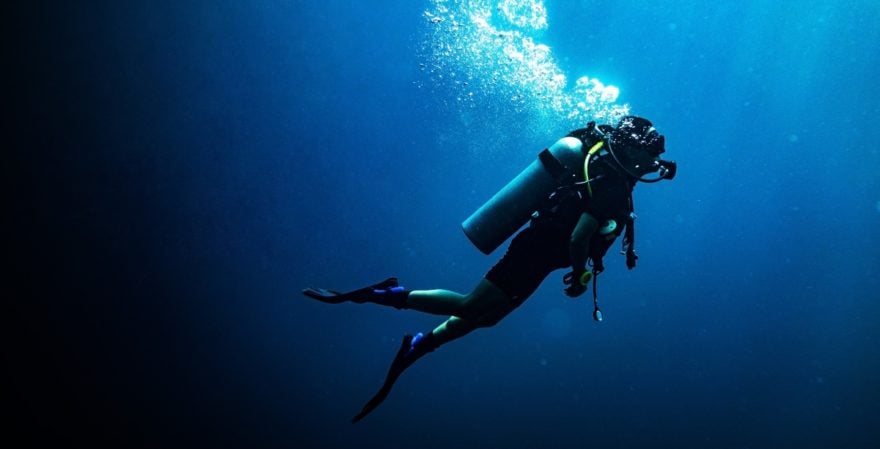 Curioso: Hombre es devorado por una ballena que luego lo escupió