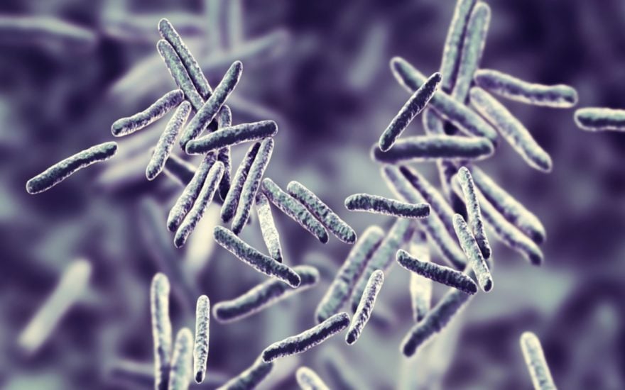 Investigan brote de tuberculosis por posible producto médico enviado a 20 estados