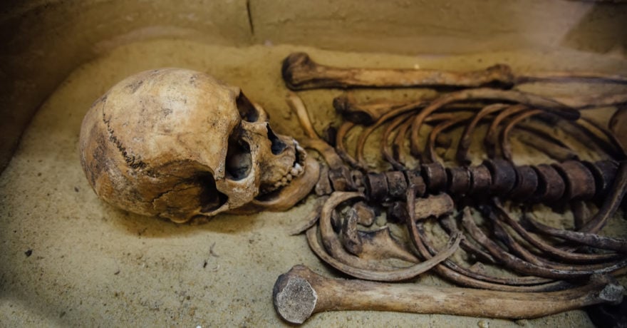 Esqueletos de era de los vikingos se reunirán en exposición