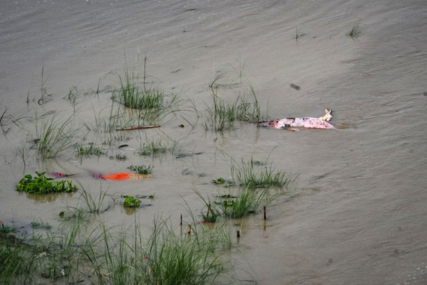 CURIOSO: Encuentran a una bebé en una caja flotando en un río de India