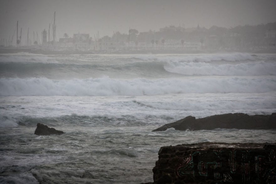 Tormenta Elsa toma fuerza y podría volverse huracán e impactar en Florida