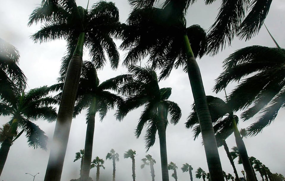 Emiten advertencia para el Panhandle de Florida por tormenta tropical Fred y se prevé peligrosa marejada ciclónica